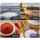 유촌초등학교 | 광주 김치축제 일정 시간 주차 기본정보 및 가수 라인업 총정리