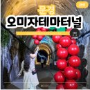 문경 오미자테마터널 | 문경 오미자테마터널 입장료 주차 정보