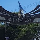 13 이미지