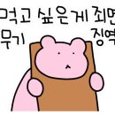 피자스쿨광주 이미지