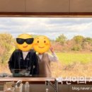 비행기발자국제주감성자쿠지펜션 이미지