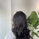 띠앗미용실