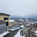 서린춘천