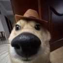 서울이태원초등학교 | 2025