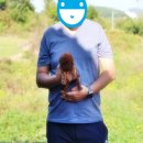 참조은 애견 이미지