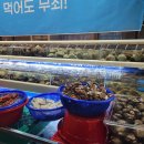 부평 삼산동 맛집 굴포천 조개창고 내돈내산 후기