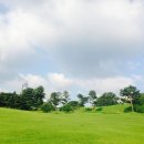 물의정원(양귀비식재)[송촌-4] | 2026년 서울 올림픽공원 들꽃마루 양귀비 및 장미광장 방문 꿀팁과 생생 후기