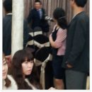 마루텔레콤 Daum카페