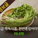 신진종합관리 이미지