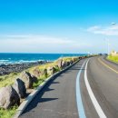 배틀민박 이미지