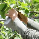 호준농장2 이미지