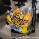 향돈 이미지