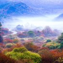 인제관광정보센터 이미지