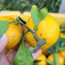 지승농장 이미지