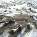 비치웨이 이미지