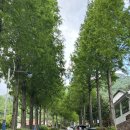 레이크사이드펜션 이미지