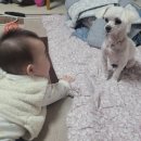 낭만그루밍 이미지