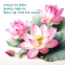 --사월 초파일'- (부처님 오신날) 이미지