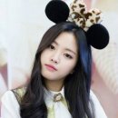 이로케 Daum카페