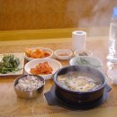 양화 금강변 Daum카페