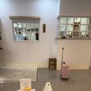 (주)공들임 | 제주공항 기념품 추천 우무 UMU 립밤 파우치 내돈내산 후기 (+왓츠인마이백)