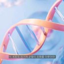 하늘헬스케어
