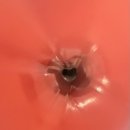 타어이뱅크 원주점 | 1-12. 우리가 얼마나 많은 길을 걸어왔냔 말이야