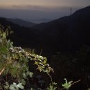 보라매농장 이미지