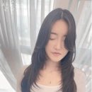 살롱뉴뉴