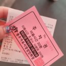 샘물분식 | 충주오뚜기분식 자유시장맛집 만두 주차장 순대국 돼지꼬리 총정리