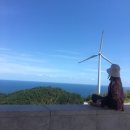 늘봄세차장 | 2018 민 생일파티