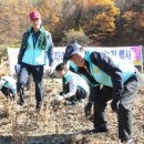 대형자동차써비스 이미지