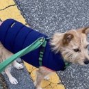 남부순환로 이미지