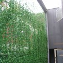 맥주정원 이미지