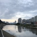 대구 칠성시장 야시장 베스트 4 (+주차정보)