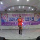 금송코리아
