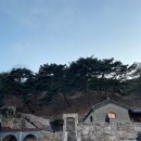 몽핀(monpin) 이미지