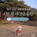 풍경운동장 | 파주팜랜드 강아지나라 오픈 솔직 후기, 1만 평 규모 애견운동장