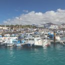 란사로테 이미지