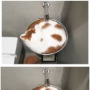 캣푸치노 이미지