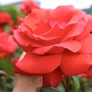 추풍령급수탑공원 화장실 이미지