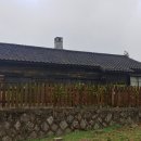 일본군관사 티스토리