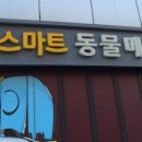 24시스마트동물메디컬센터 이미지