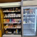 파티가는 댕댕이 이미지