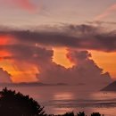 새울림오토캠핑장 이미지