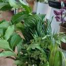 미경농장 이미지