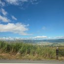 이렌트카 | 아소산 분화구 렌트카 여행 후기