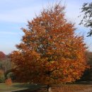 천문대민박 이미지