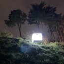 디저트39강릉 이미지