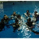 창원실내수영장 수영장 이미지